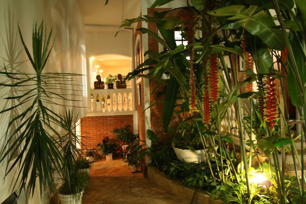 איליה-בלה Hotel Guanumbis מראה חיצוני תמונה